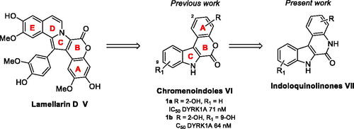 Figure 2. Lamellarin D, chromenoindoles, and envisioned indoloquinolinone chemical series.
