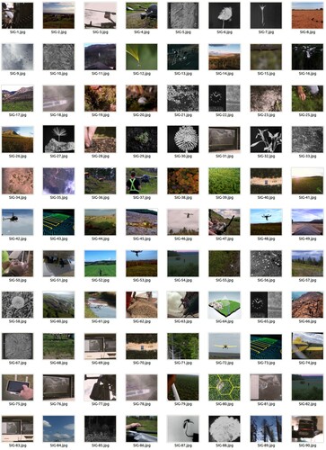 Figure 5. Seed, Image, Ground clips displayed as a dataset.