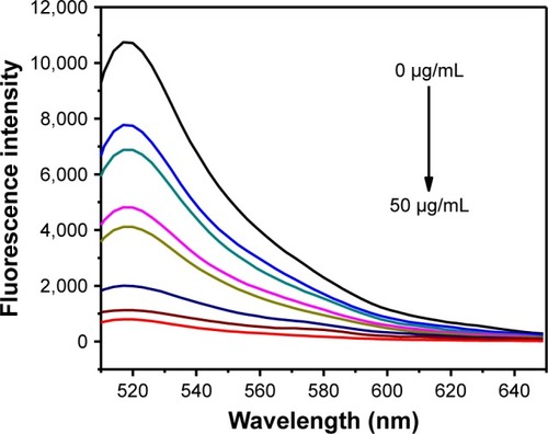 Figure 2 The fluorescence intensity of FAM-modified aptamer (10 nM) in the presence of various concentrations (0, 10, 15, 20, 25, 30, 40, and 50 μg/mL) of AuNPs@MoS2 nanocomposites.Abbreviations: AuNPs, gold nanoparticles; MoS2, molybdenum disulfide; FAM, carboxyfluorescein.