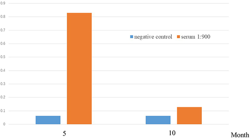 Figure 2 Antibody titer of Paragonimus westermani. Column chart showing microplate enzyme-linked immunosorbent assay analyses of Paragonimus westermani antibodies, indicating a high antibody titer at diagnosis and a decreased titer after praziquantel treatment.