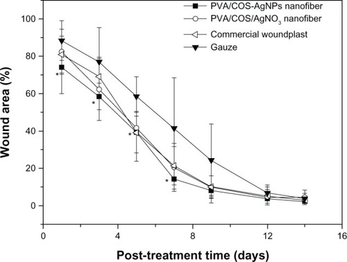 Figure 13 Wound healing with the PVA/COS/AgNO3 nanofiber, the PVA/COS-AgNP nanofiber, commercial woundplast, and gauze.Notes: *P<0.05 compared with the gauze. The data are presented as the mean ± standard deviation (n=6).Abbreviations: AgNP, silver nanoparticle; COS, chitosan oligosaccharide; PVA, poly(vinyl alcohol).
