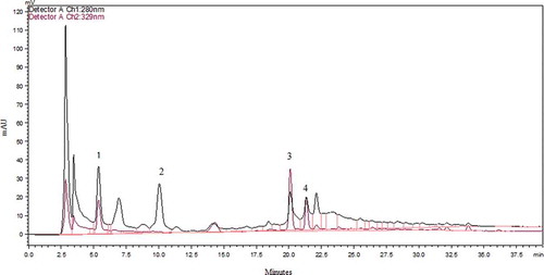 Figure 2. HPLC Chromatogram of free phenolic acids after methanol-acetic acid extraction at 280 nm and 329 nm. Gallic acid (peak 1), p-hydroxybenzoic acid (peak 2), vanillic acid (peak 3), caffeic acid (peak 4).