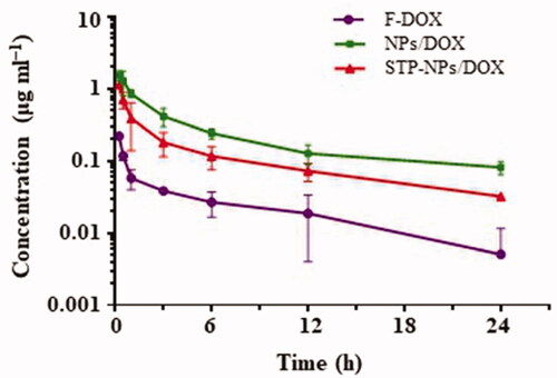 Figure 9. The pharmacokinetic of F-DOX, NPs/DOX, and STP-NPs/DOX.