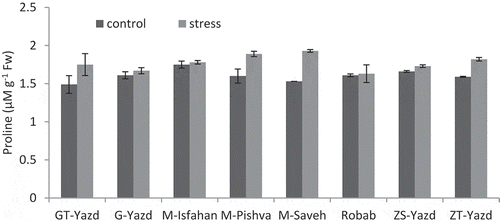 Figure 2. Interaction effects of drought stress and pomegranate cultivars on proline content