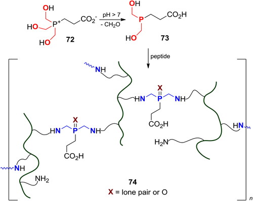 Scheme 44. Hydrogel network from polypeptides and β-[tris(hydroxymethyl)phosphino]propionic acid.
