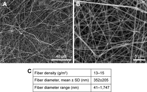 Figure 1 SEM images of nonmodified PLA membranes.Notes: Quanta 450 scanning electron microscope FEI, magnification 2,000× (A), magnification 10,000× (B). Morphological parameters of PLA membranes (C). Mean ± SD from 12 SEM images (1,748 measurements in total).Abbreviations: SEM, scanning electron microscopy; PLA, polylactide; SD, standard deviation.