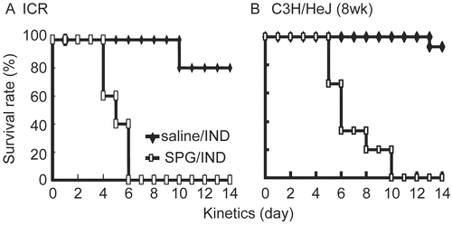 Figure 1.  Survival of ICR and C3H/HeJ mice administered SPG/IND. (A) Eight-week-old ICR mice (saline/IND; n = 6, SPG/IND; n = 5) were administered SPG (100 mg/mouse) intraperitoneally (IP) on Days -5, -3, and -1, and indomethacin (IND; 5 mg/kg) per os from days 0 to 14. Mortality was monitored. (B) Eight-week-old C3H/HeJ mice (saline/IND; n = 14, SPG/IND; n = 15) were administered SPG (100 mg/mouse) or saline IP on Days -5, -3, and -1, and indomethacin (IND; 5 mg/kg) per os from Days 0 to 14. Mortality was monitored.
