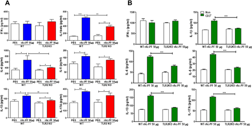 Figure 4 Effect of expression of rAc-PF-induced inflammatory cytokine in lung-draining lymph nodes of TLR2 KO mice.Th2/17-related cytokine concentrations in BALF (A) and culture supernatants of CD3-stimulated lymphocytes from LLN (B) were measured using ELISA. Plates were read at 450 nm using a standard ELISA reader, VICTOR 3 (each p-value was determined based on t-test results compared to those of the control) (n = 5/group, three independent experiments, *; p < 0.05, **; p < 0. 01, ***; p < 0.001).