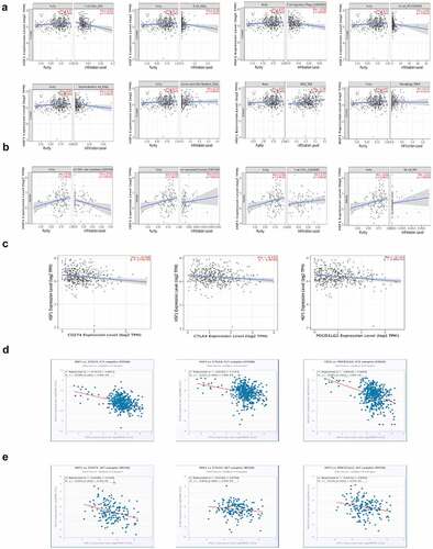 Figure 3. Immune feature analysis. (a) The correlation between HSF1 expression and immune cell infiltration was analyzed in COAD via TIMER2 database. (b) The correlation between HSF1 expression and immune cell infiltration was analyzed in READ via TIMER2 database. (c) The correlation between HSF1 expression and immunomodulators expression was analyzed in COAD via TIMER2 database. (d) The correlation between HSF1 expression and immunomodulators expression was analyzed in COAD via StarBase database. (e) The correlation between HSF1 expression and immunomodulators expression was analyzed in READ via StarBase database.