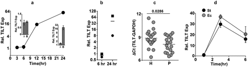 Figure 3. TILT is actively induced in Mtb infected macrophages