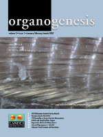 Cover image for Organogenesis, Volume 3, Issue 1, 2007