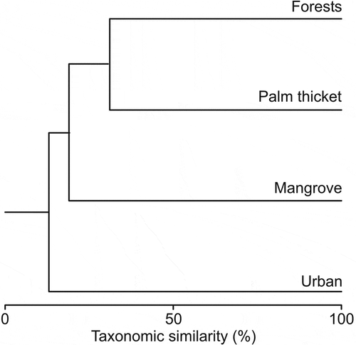 Figure 4. Bray–Curtis multivariate analysis showing bird community composition similarity in the four studied ecosystems on Cozumel Island.