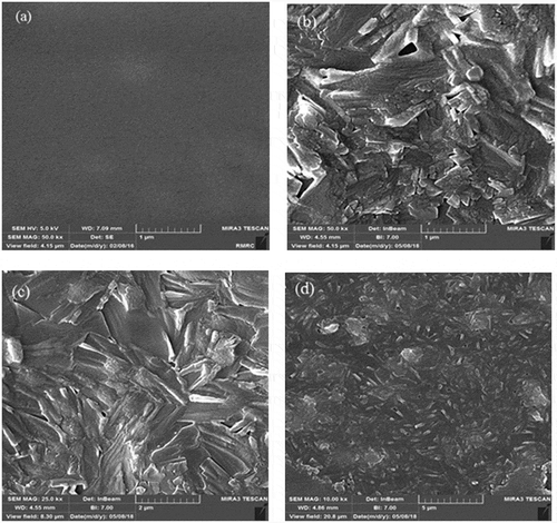 Figure 2. SEM photographs for (a) pure PVA (b-f) PVA/GLA/NNSA (40 wt%)/SiO2 (5 wt%) hybrid membrane at various magnifications and (g) EDXA of the hybrid membrane.