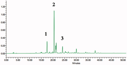 Figure 1. The HPLC-ELSD chromatogram of saponins-rich fraction of Ophiopogon japonicus (SOJ). Peak: 1, ophiopogonin B; 2, ophiopogonin D; 3, ophiopogonin D′.