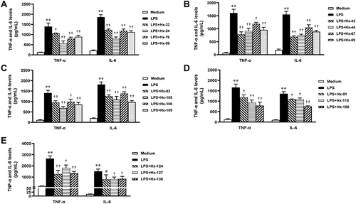 Figure 1 The compounds inhibit TNF-α and IL-6 release from LPS-treated peritoneal macrophages (n = 3). Peritoneal macrophages were treated with different compounds (52.03 μM) and LPS (50 ng/mL) for 4 h. The levels of TNF-α and IL-6 in the cell culture supernatant were measured using respective ELISA kits (A-E). **p < 0.01 vs Medium; †p < 0.05, ††p < 0.01, #p > 0.05 vs 50 ng/mL LPS.