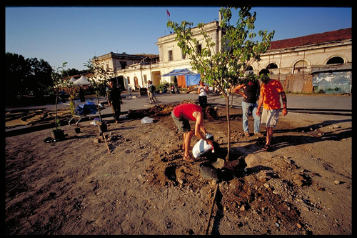 Figure 5. Creation of the garden in front of the Ararat building. 2002. Photo: Romolo Ottaviani.