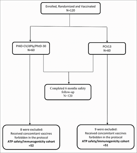 Figure 1. Trial Consort. N: number of enrolled children; ATP: according-to-protocol; PHiD-CV/dPly/PhtD-30: Children receiving a single dose of an investigational vaccine containing polysaccharide conjugates of PHiD-CV combined with 30 µg each of dPly and PhtD pneumococcal proteins; PCV13: Children receiving a single dose of Prevnar13.