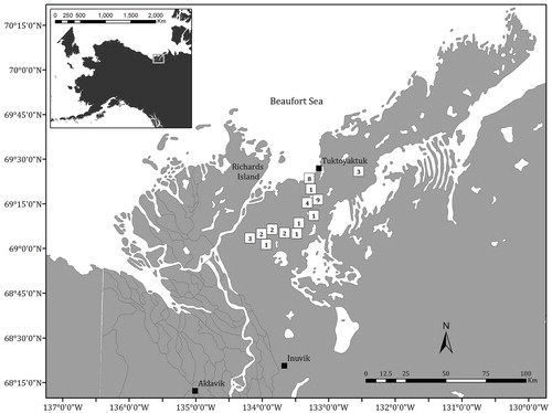 FIGURE 1. Map showing the location of the study site within the Tuktoyaktuk Coastlands. The number in each box indicates the number of photo pairs in each area. Communities are shown as solid black boxes. Inset map shows the position of the mapped area in the western Canadian Arctic.