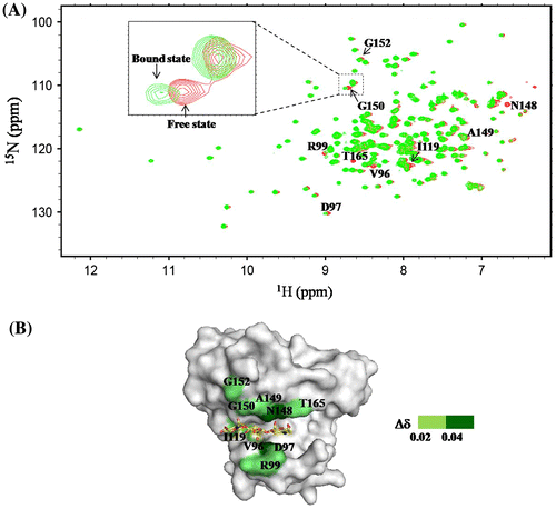 Fig. 3. Effect of (GlcNAc)3 titration on the backbone resonances of OEL.