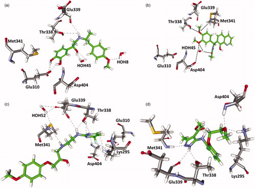 Figure 7. Molecular-docking result. (a) NCI compound, (b) Chembridge compound, (c) Maybridge and (d) Maybridge hit compound bound in the active site of c-Src. Hydrogen bonds are shown in black.