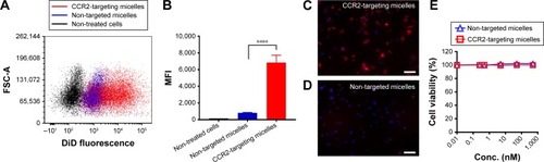 Figure 3 Binding of CCR2-targeting and non-targeted (plain) micelles to RAW 264.7 cells as analyzed by (A) flow cytometry and (B) MFI, and (C, D) fluorescence microscopy with nuclei stained in blue (DAPI) and DiD-labeled CCR2-targeting micelles shown in red. Scale bar =50 μm. Data are presented as mean ± SD, ****P<0.0001 by one-way ANOVA followed by Dunnett’s test. (E) MTT assay of CCR2-targeting and non-targeted (plain) micelles in RAW 264.7 cells.Abbreviation: MFI, mean fluorescence intensity.