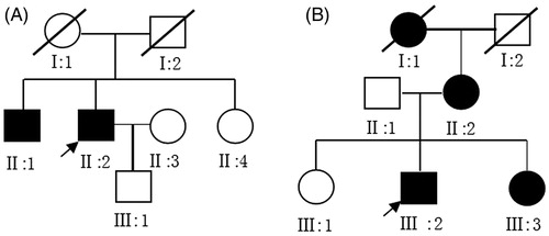 Figure 1. Pedigrees of the two Chinese families with ADPKD. (A) The pedigree of family A (ID: 09051). I1 and I2 dead in their 70s with unknown renal function. (B) The pedigree of family B (ID:09053). The probands are shown with the arrows.