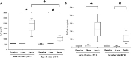 Figure 2. Cytokines values (A, IL-6 and B, TNF-α) in plasma for each experimental condition (n = 6 for each group except for septic group in normothermia where n = 4). Data are expressed as median ± interquartile range. *Significant difference between septic and sham normothermia groups. #Significant difference between septic and sham hypothermia groups. +Significant difference between septic normothermia and septic hypothermia groups (P < 0.05).