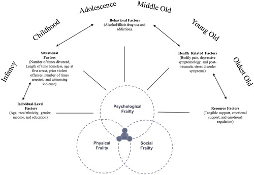 Figure 1. Application of modified frailty framework among vulnerable populations (FFVP) for formerly incarcerated, homeless women.