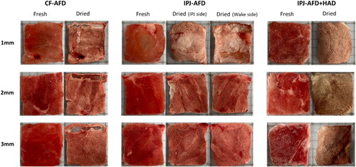 Figure 9. Appearance of the dried lamb slices.