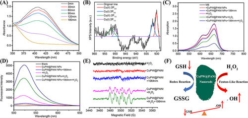 Figure 3 Characterizations of the redox and Fenton-like reaction of CuPW@PANI Nanorods. (A) GSH depletion by CuPW@PANI Nanorods with DTNB as indicator after different duration. (B) XPS spectrum of CuPW@PANI Nanorods after reaction with GSH. (C) MB degradation by .OH generated by H2O2 and CuPW@PANI Nanorods at different groups. (D) Fluorescent spectrum of DCF for ROS generation. (E) ESR spectrum after different treatment. (F) The illustration of the GSH depletion and Fenton-like performance of CuPW@PANI Nanorods (Up red arrow means the generation of .OH, while the down red arrow means the depletion of GSH).