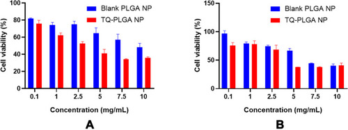 Figure 14 Cytotoxicity study (MTT assay) of blank nanoparticles and TQ-PLGA NPs in A375 human melanoma cancer cells. (A) 24 h and (B) 48 h.