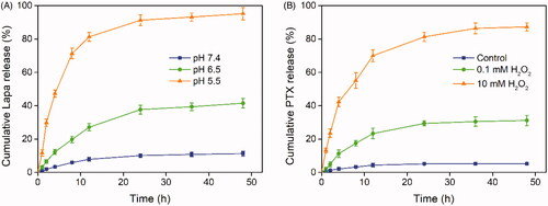 Figure 4. Stimuli-responsive drug release analysis. (A) Lapa release profile of the PLP-NPs at pH 7.4, 6.5, and 5.5, respectively (n = 5). (B) Cumulative release of PTX from PLP-NPs in the presence of 0, 0.1, and 10 mM H2O2 (n = 5).