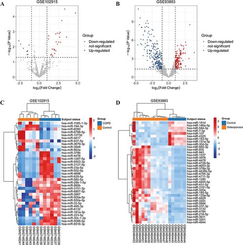 Figure 2 Heatmaps and volcano plots of differentially expressed miRNA (|log2 fold change|>1, adjusted p-value<0.05). (A) Volcano plot of the GSE102915 dataset. (B) Volcano plot of the GSE93883 dataset. (C) Heatmap of the GSE102915 dataset. (D) Heatmap of the GSE93883 dataset. Red represents upregulated expression, blue means downregulated, and grey indicates no significant changes in volcano plot. Orange and blue in heatmaps represent patients and health control samples, respectively.