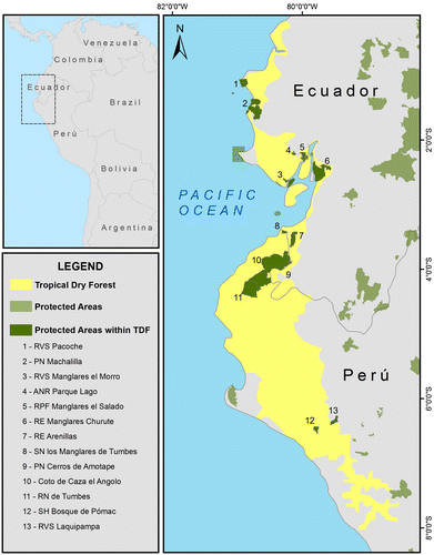 Figure 2. Location of dry forest of the Ecuadorian province in Peru and Ecuador, highlighting protected areas.