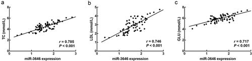 Figure 2. The correlation of miR-3646 with the TC (a), LDL (b), and GLU (c) levels of ACS patients. miR-3646 showed significantly positive correlation with the TC (r = 0.785), LDL (r = 0.746), and GLU (r = 0.717) levels of ACS patients