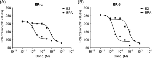 Fig. 1. Competitive binding curves of the reference chemical E2 and the test chemical BPA to ER-α and ER-β.Note: (A) Competitive binding against ERα and (B) competitive binding against ERβ.
