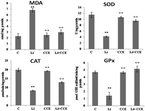 Figure 5. Effect of lithium carbonate and CCE on MDA level and antioxidant enzyme activities (SOD, CAT and GPx) in control (C), carbonate lithium-treated (Li), cactus-treated (CCE), and cactus supplemented with carbonate lithium (Li + CCE) groups. Data are expressed as means ± SD for six rats in each group. Statistical comparison was performed using Student’s t-test. *p < 0.05, **p < 0.01 compared with control group (C). +p < 0.05, ++p < 0.01 compared with lithium carbonate (Li)-treated group.