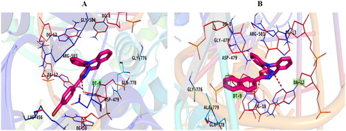 Figure 12. Binding of compounds 5b (A) and 5f (B) inside the topoisomerase II-DNA complex.