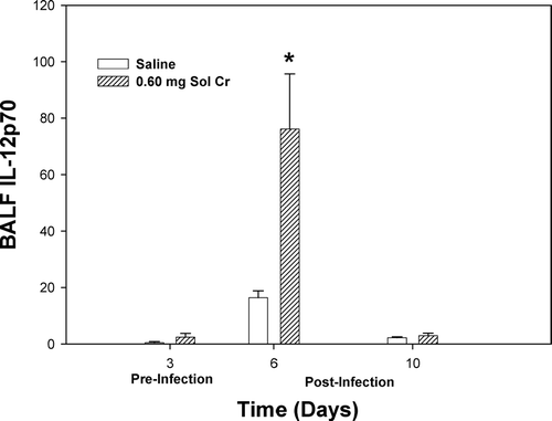 FIG. 8 IL-12p70 measured within the bronchoalveolar lavage fluid (BALF) recovered from rats pre-exposed to 0.60 mg soluble Cr2Na2O7. The Cr sample was intratracheally instilled 3 days prior to intratracheal inoculation with 5 × 103 L. monocytogenes. Control animals were pretreated with saline. Values are means ± standard error of measurement (n = 4–7); *significantly greater than corresponding saline control at Day 6 (p < 0.05).