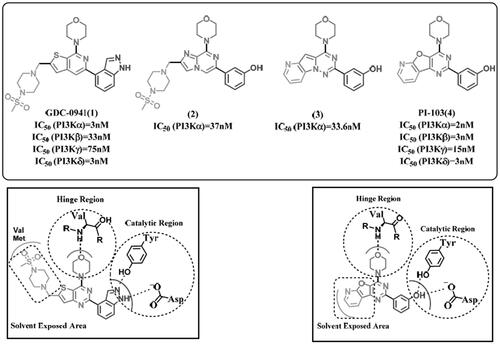 Figure 3. Several reported potent morpholine based PI3K inhibitors with examples of binding mode.