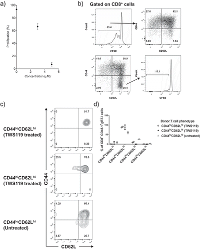 Figure 3. TWS119 treatment failed to generate a Tscm phenotype on gBT-I T cells. (a) Dot plot representing CFSElo proliferating gBT-I T cells in the presence of TWS119, 72 h after activation in a 6-well plate. Each datapoint represents the mean ± SD proliferation. (b) CD44 and CD62L expression of CFSElo T cells post-activation (top row). CFSE profile of CD44loCD62Lhi cells demonstrates that most cells in this population remain naïve (bottom row). Plots are representative for three separate experiments. (c) TWS119-treated cells were sorted into CD44loCD62Lhi, CD44hiCD62Lhi populations, and untreated CD44loCD62Lhi populations (1 x 10^5 cells) were transferred into a lymphodepleted animal. CD44 and CD62L expression on transferred (CD45.1) cells 4 weeks post-transfer are represented as FACS diagrams, and in (d) a dot plot.