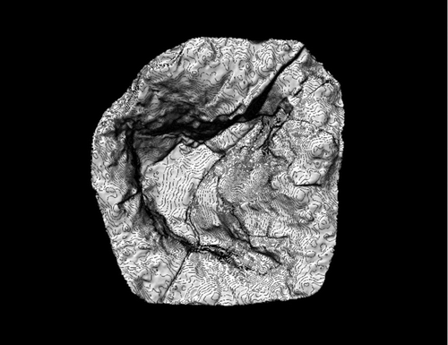 Figure 11 Uhangrichnus chuni. Resin cast (DMNH 2008-08-06) digitally scanned and contoured. Contour interval = 1.27 mm.