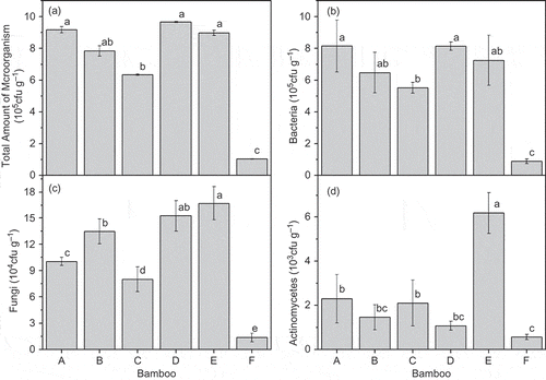 Figure 4 Soil microbial communities of various bamboo forests (A = P. amabilis, B = A. edulis, C = D. vario-striata, D = D. oldhami, E = D. beecheyana var.pubescens, F = bare land). Error bars are standard deviation (SD). Different letters indicate significant differences (P < 0.05).