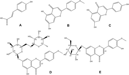 Figure 1 Structures of five typical compounds: PCA (A), AC (B), AP (C), BU (D) and DDG (E).