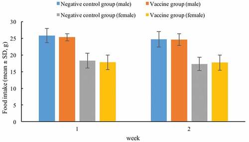 Figure 2. Food intakes of SD rats between negative control and vaccine groups