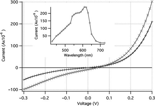 Figure 5. IV curve for a silicon nanowire-P3HT PV cell under 100 mW/cm2 illumination (×) and dark (+). Inset shows short-circuit photocurrent as a function of wavelength.