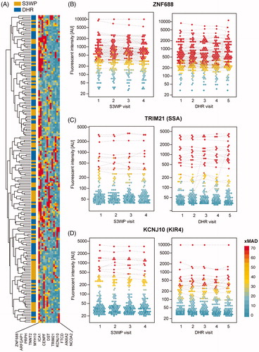 Figure 7. (A) Autoantibody reactivities of 193 individuals (visit 1) towards 13 antigens identified as highly reactive. (B) ZNF688 was discovered as the antigen with IgG binding in the most samples. (C) Reactivity plots for IgG binding to TRIM21, also known as SSA or Ro52. (D) Reactivity plots for IgG-binding to KCNJ10, also known as KIR4.1. The binding fluorescence intensity is plotted for each individual at each time point for the S3WP subjects and the DHR subjects. Data points which were classified as reactive by the stringent cut-off are interconnected by a dashed line connecting data points from the same individual.