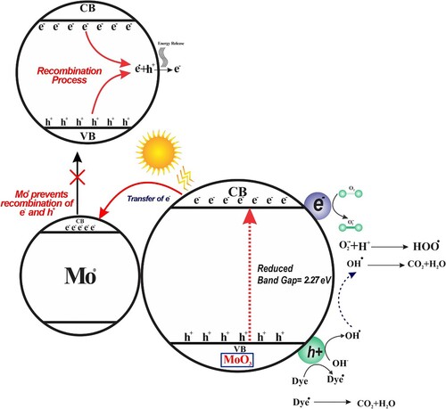 Figure 11. Schematic of the proposed mechanism of the photodegradation catalyzed by Mo(0)/MoO3.