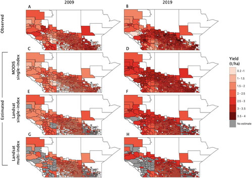 Figure 8. Spatial distribution of observed yield and estimated yield of canola using different satellite index predictors for 2009 and 2019. Landsat-NDWI is the best performing single-index. Best performing multi-index combination using Landsat data for wheat is EVI + SR + NDWI. Regions in white represent absence of cropland within a given municipality. Regions in grey represent municipalities for which an model-specific yield estimate is unavailable.