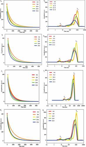 Figure 2. (1) CPMG relaxation decay curves; (2) T2 relaxation time of the peppers treated with CaCl2, HT, and HT-CaCl2 for 32 days at 8°C. A1, B1, C1, D1: CPMG relaxation decay curves; A2, B2, C2, D2: T2 relaxation time; A1, A2: Control; B1, B2: CaCl2; C1, C2: HT; D1, D2: HT-CaCl2.